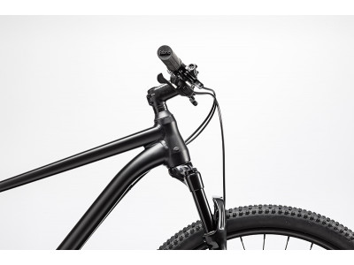 Bicicleta de munte Cannondale Trail 29 1 GDF 2020