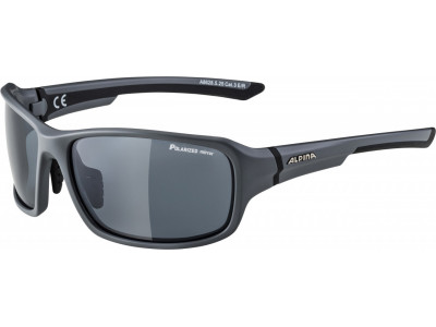 ALPINA Glasses LYRON P matt gray-black lenses: Varioflex black