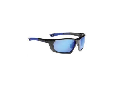 ALPINA Tri-Scray Multiframe okulary, czarne/niebieskie