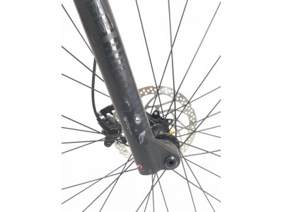 Cannondale Trail 2 2020 ARD Mountainbike MUSTER