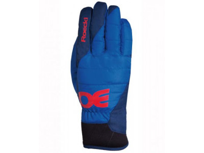 Roeckl Sestriere ski gloves