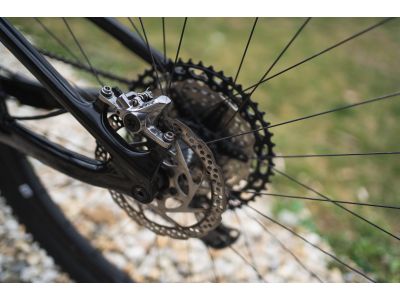 Giant Anthem Advanced Pro 29 1, Testmodell 2020