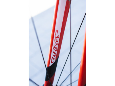 Obręcz Wilier CENTO1 NDR 105 RS100, model 2020