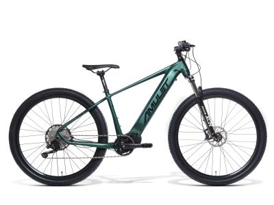 Bicicleta electrica Amulet 29 eRival 5.0, verde/negru