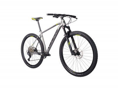 Lapierre Prorace 3.9 29 bike, silver