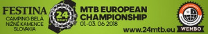 Logo: FESTINA 24 HOUR WEMBO MTB EUROPEAN CHAMPIONSHIP