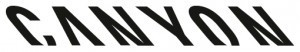 Logo: Testovacie dni Canyon