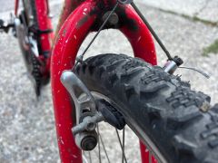 IMG-0555_6a391e49e446c.jpeg