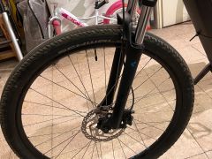 IMG-3618_6a64cf16dcae2.jpeg