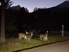 IMG-5248_6ae22c8ac02e4.jpeg