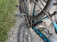 IMG_1431_66653aaece156.jpeg