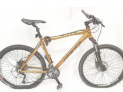FELT MTB gold 