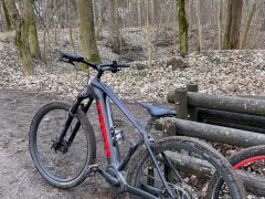 Trek powerfly 5 2022