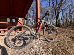 Trek powerfly 5 2022