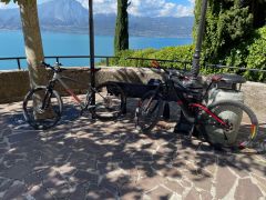 Mountainbike Cube Reaction Race C 62