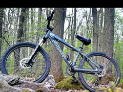 Kona shred 2006