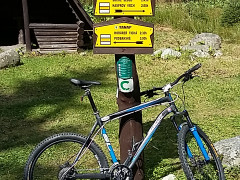 Specialized Rockhopper Comp 26