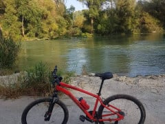 RockRider ST 100 27,5