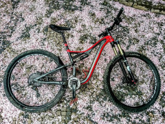 Specialized StumpJumper FSR 2014