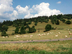 Zobraziť fotku