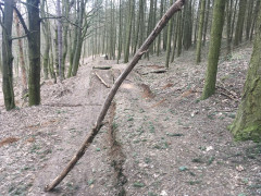 Zobraziť výjazd
