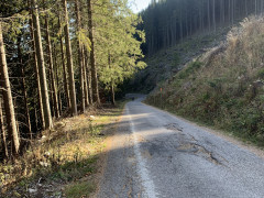 Zobraziť fotku
