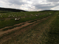 Zobraziť fotku