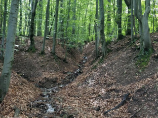 Zobraziť fotku