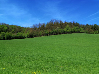 Zobraziť fotku