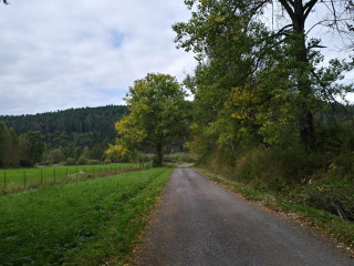 Zobraziť fotku
