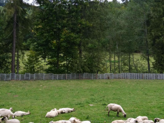 Zobraziť fotku