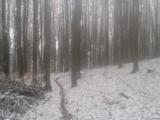 Zobraziť fotku