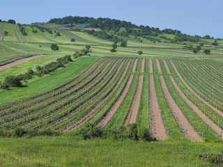 Zobraziť fotku