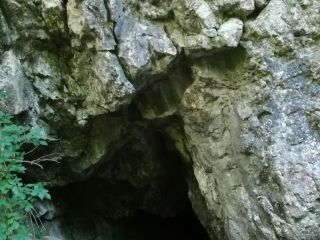 Zobraziť fotku