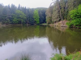 Zobraziť fotku