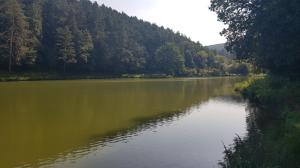 Zobraziť výjazd