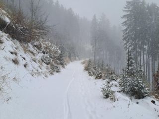 Zobraziť fotku