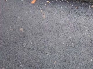 Zobraziť fotku