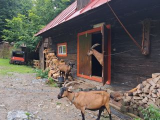 Zobraziť fotku