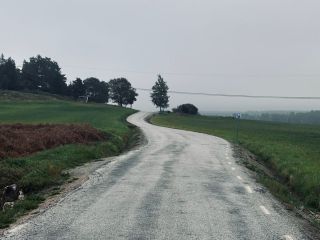 Zobraziť aktivitu