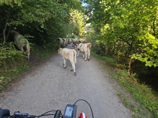 Zobraziť fotku