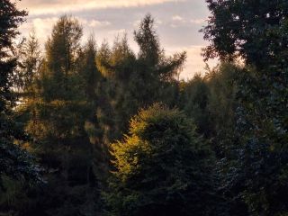Zobraziť fotku